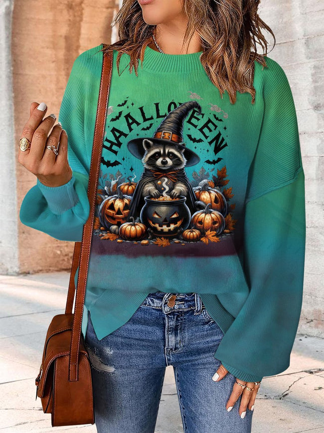 Colorful Cute Witch Raccoon Print Casual Knit Pullover Sweater