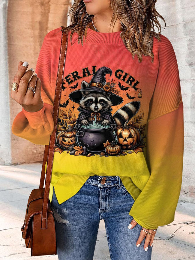 Colorful Cute Witch Raccoon Print Casual Knit Pullover Sweater