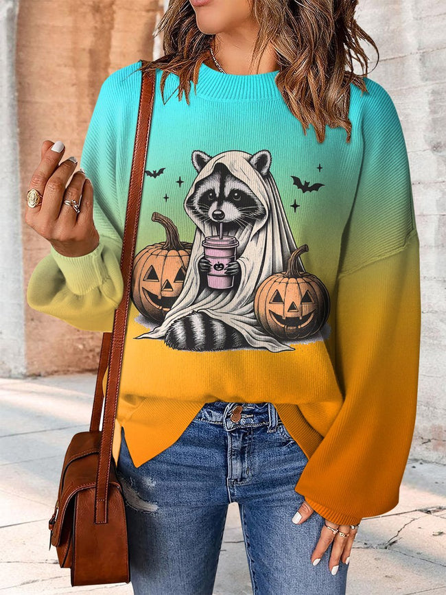 Colorful Cute Raccoon Print Casual Knit Pullover Sweater